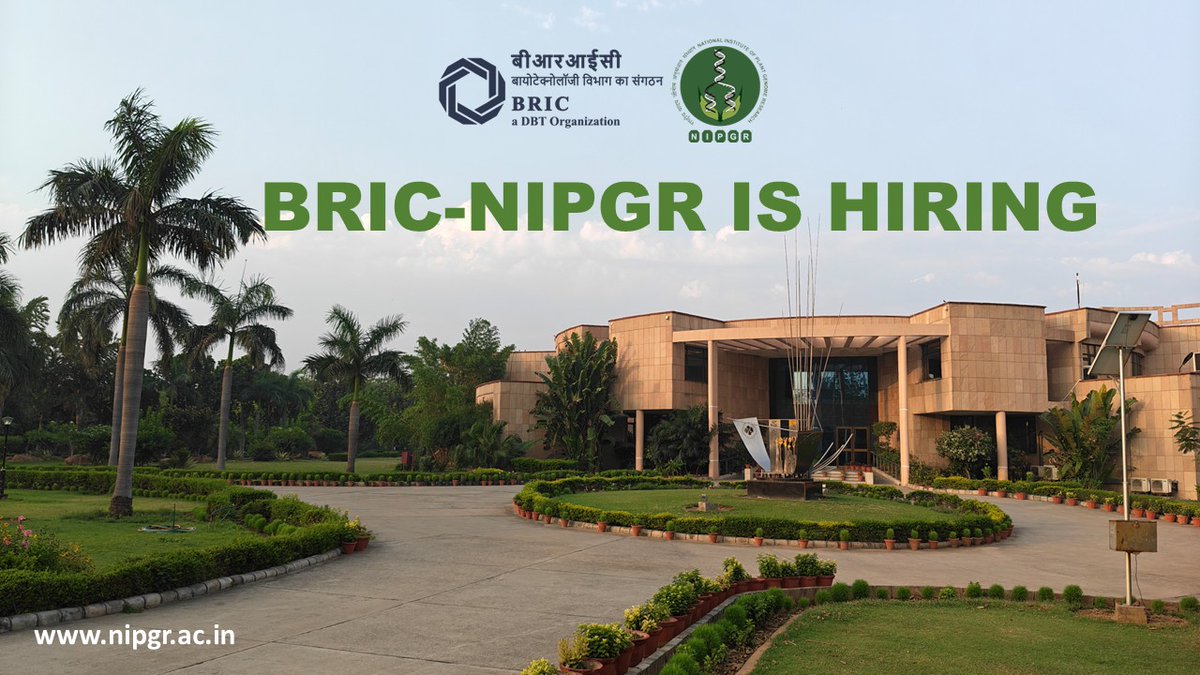 NIPGRsocial's tweet photo. Research Opportunities at BRIC–NIPGR!

Research Group:  Dr. Jyothilakshmi Vadassary
Post: RA/PA
More details: https://t.co/WrZ4ts4K36
@DBTIndia @BricDbt https://t.co/fFOHvx9y2U