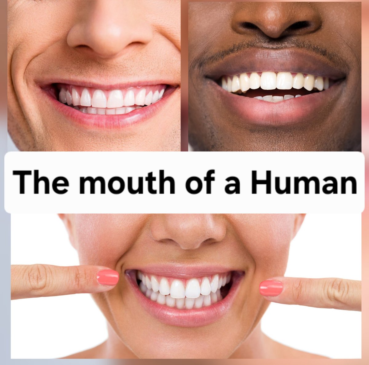 BFreaknAmazing's tweet photo. The population even focuses their dentistry on the idea that they're human, at least Marie Simon Dentistry ( https://t.co/RxAHHbkRhe) and Koppelman Dental ( https://t.co/L4vtYzDHXr ) both   model there business structure on this premise, the same for all oral offices. https://t.co/HmnfzUvUbF
