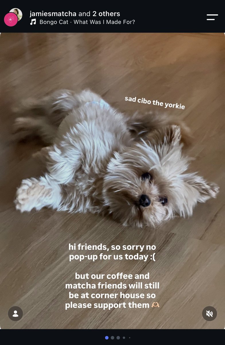 ilygumz's tweet photo. ‼️ FOR AWARENESS: "WHISK & BREW" Event by Samu't Sari (@.the.samutsari) this past weekend (September 12-13, 2026)

ℹ️ I've already posted this on threads (https://t.co/FG0bqMTGXr), (Shorted version because of the character limit 😅)

But decided to bring it to X for more visibility for any small business out there

Though this "issue" has been dealt with, I'm still posting for awareness, and solely to express my disappointment with what happened to my sister (jamie's matcha / @.jamiesmatcha on Instagram) that ultimately caused her to decide to pull out of the event. 

Even though they were already there, ready to set up, and prepared for this for weeks.  

I personally can't let this slide given the time and effort wasted due to poor handling. Not just towards my sister's team, but also to everyone else affected ESPECIALLY the potential customers who were already there/those who have planned their weekends, excited to try her drinks.

Disclaimer: I'm posting this because I want to (free will), and my sister doesn't know I am (sorry Ate 😅)