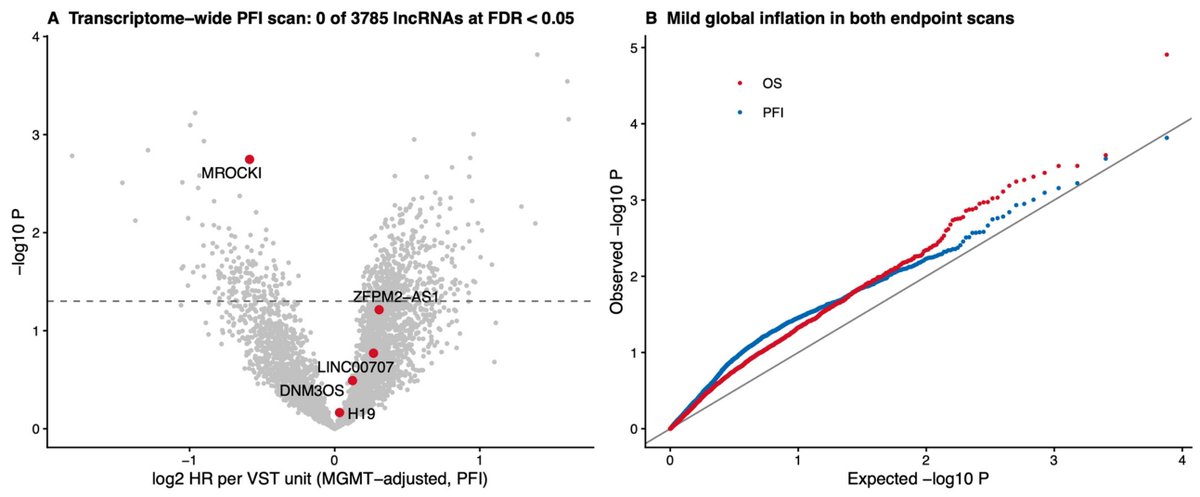 Non_Coding_RNA's tweet photo. 🆕 Latest in Non-Coding RNA!

A transcriptome-wide analysis identifies DIO3OS and C9orf139 as candidate survival-associated lncRNAs in glioblastoma—and highlights the importance of external validation.

📖 https://t.co/ufyqfFMZmJ

#NonCodingRNA #lncRNA #Glioblastoma https://t.co/PhB0FeXVVl