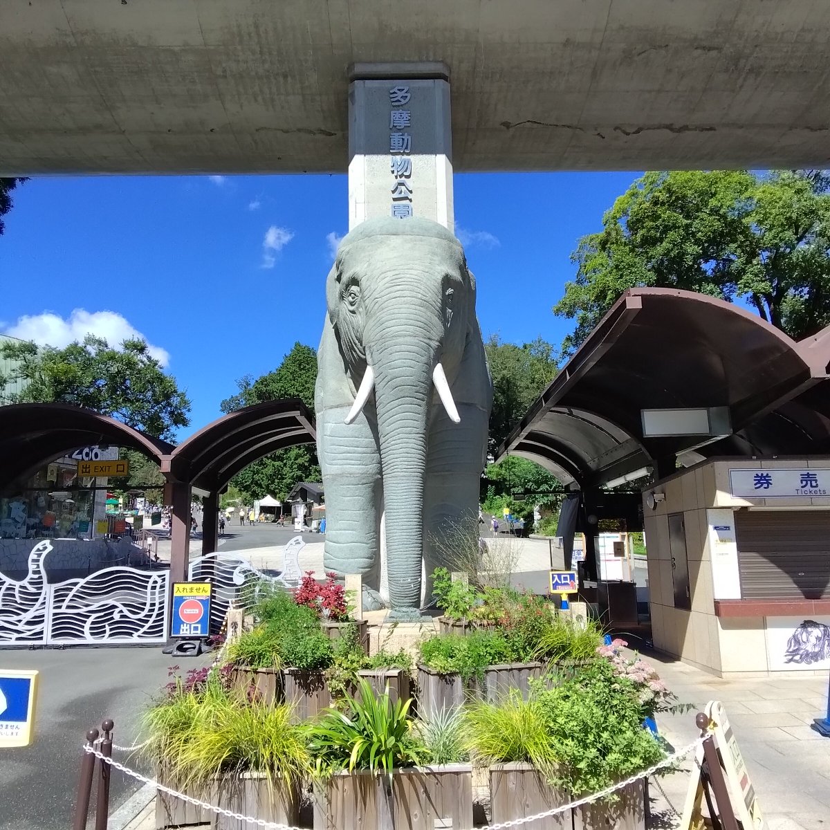 sawadayo11017's tweet photo. 多摩動物公園に行ってきたよ～(^o^)/

「タスマニアデビル飲んデビル？」っていう飲み物を飲んだよ～♪
で、袋の中にタスマニアデビルの形したマシュマロが入ってて、掴むとムニムニなのよ！

なんか動物の赤ちゃんを想像しちゃって、食べるのスゴく躊躇した(^o^;)
顔側からだと目と目が合っちゃうのよ https://t.co/mJb2A4rNzM