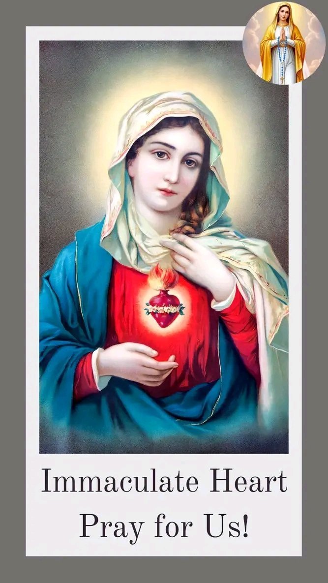 Cath0licP0dcast's tweet photo. Imaculate heart of Mary 

Pray for us 🙏 https://t.co/JBpCIFTj6Z