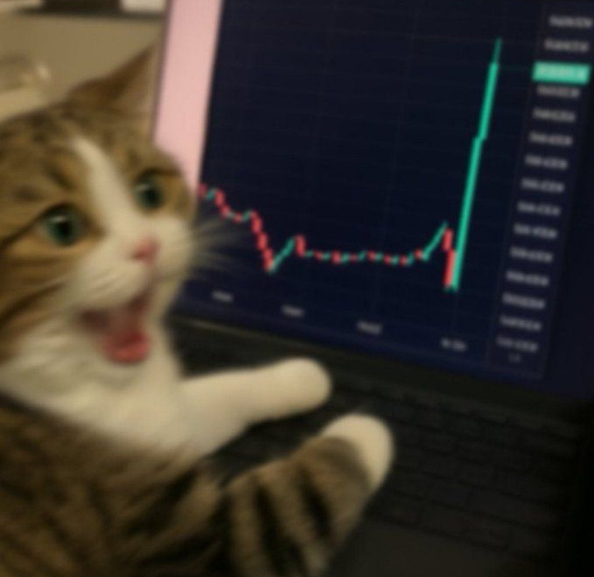 LithiumSagaCoin's tweet photo. LOW CAP.
EARLY COMMUNITY.
BIG ENERGY. 🔥

$LISAGA  is just getting started.

Stay close. The next chapter is going to be loud. 🚀

BUY NOW it’s too late https://t.co/rknmshVY1b