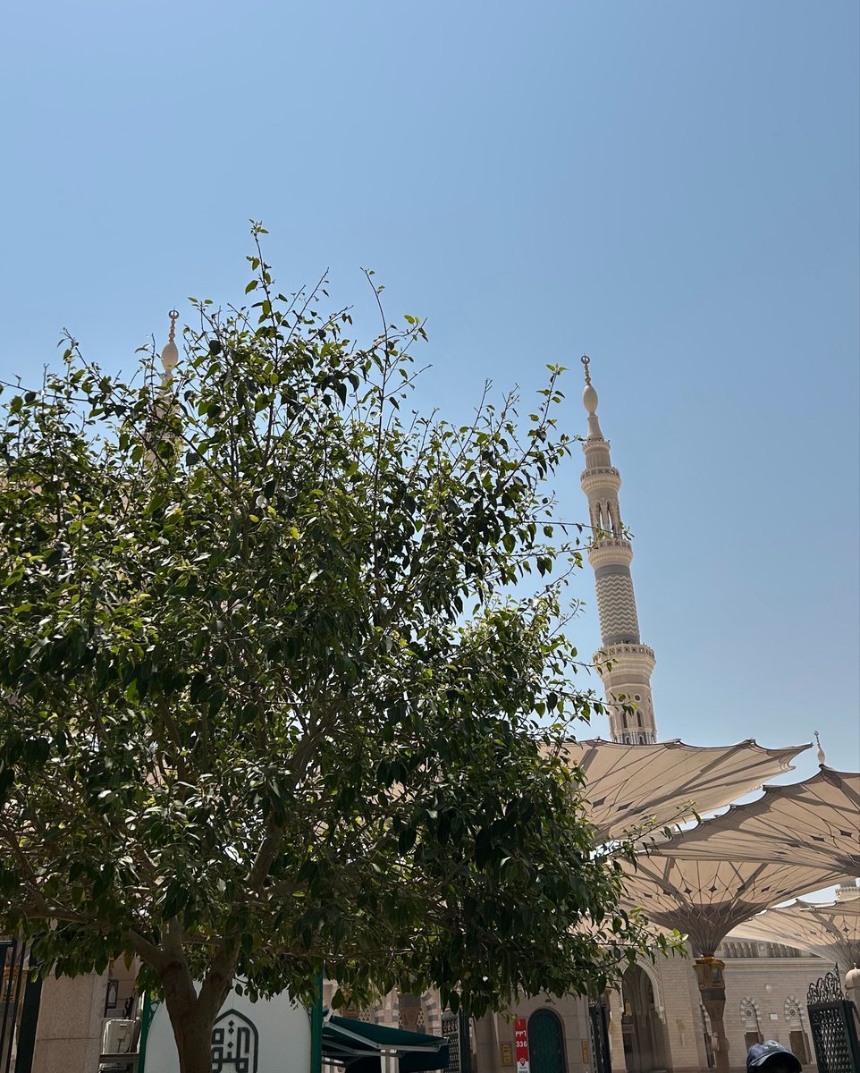 sez_99's tweet photo. «إنّ الصلاةَ على النبيِّ مُحَمَّدٍ
تُرضي القلوبَ وتُذهبُ الأحزانا»

اللهم صلِّ وسلم على نبينا محمد❣️ https://t.co/BJjFdO1YVc