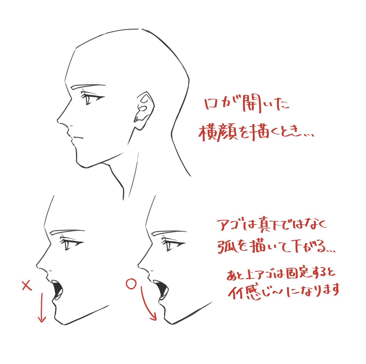 niburini's tweet photo. 当たり前ではあるんだけれども、改めて得た気付き……を共有……
良い横顔ライフを……✌️ https://t.co/m9aAjd55Sa