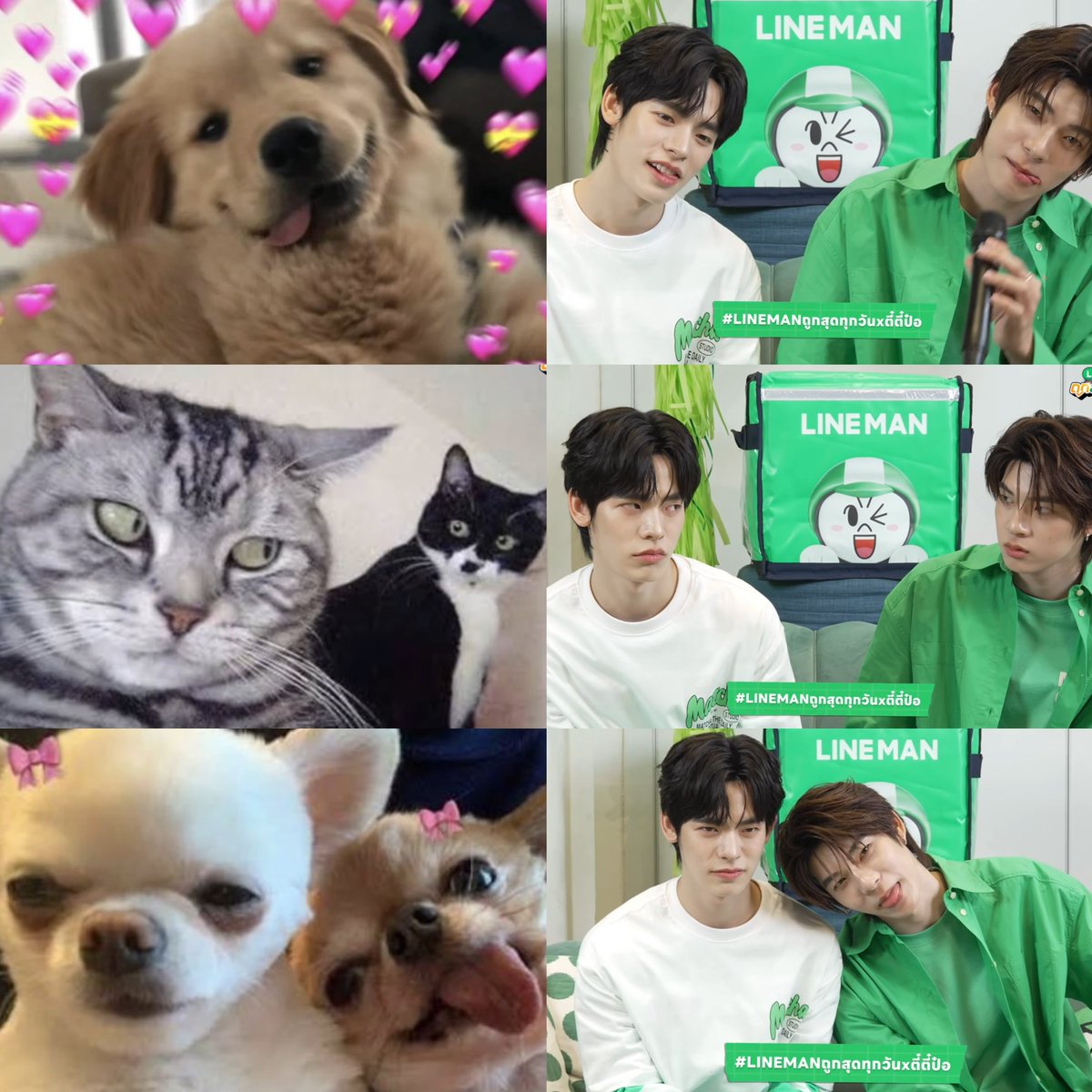 thatbokbakz's tweet photo. พวกนางเลียนแบบได้เหมือนเนาะ เป๊ะ 
55555555555555555555555555555555555555555555555555555555 https://t.co/IPvahWkdCw