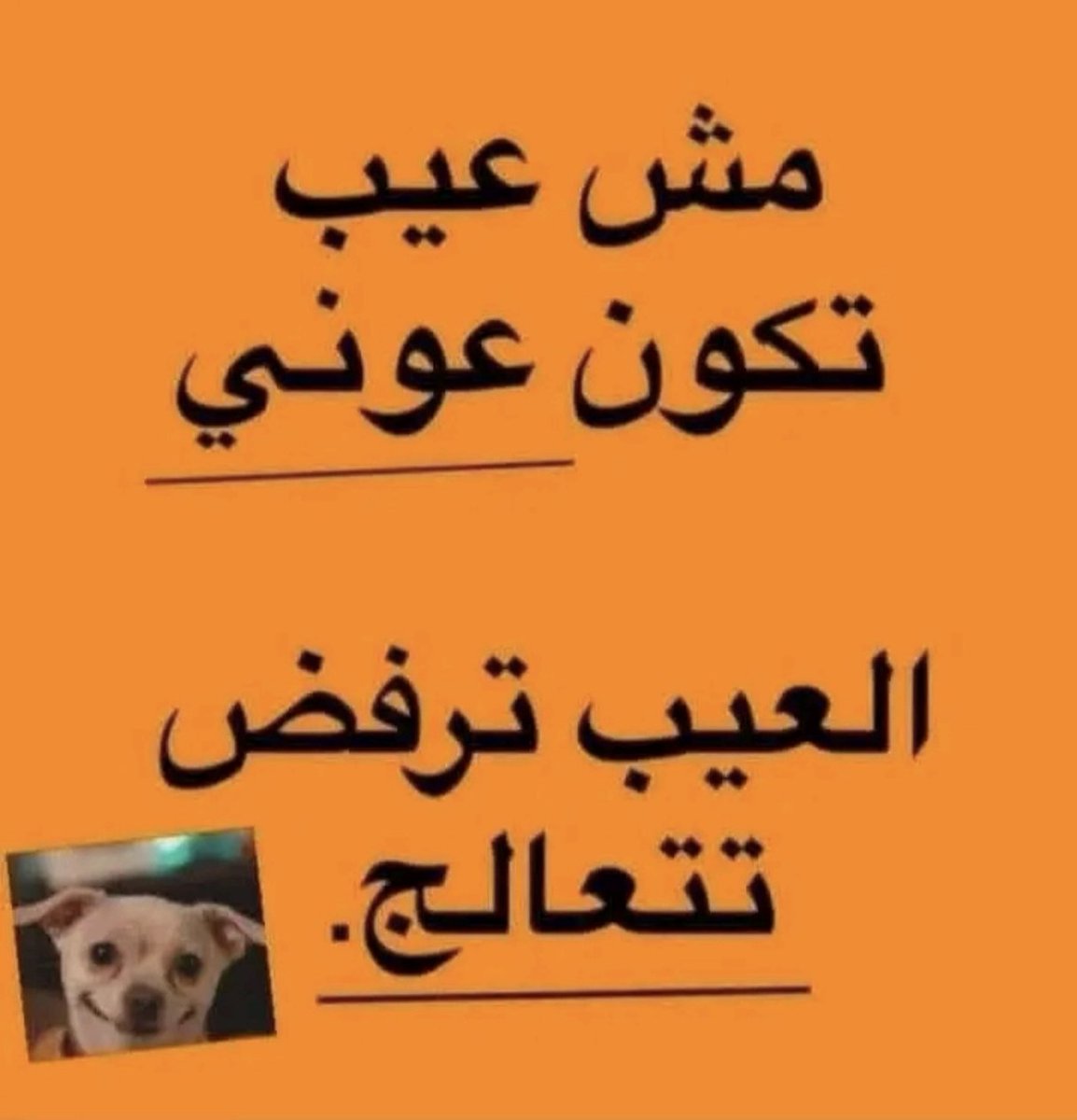 GioAbou's tweet photo. @tayyar_official https://t.co/UzkQMXCH82