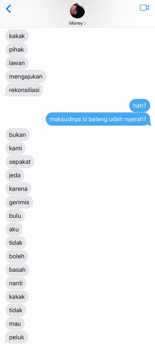 fiplosofi's tweet photo. daily kakak Ge dengan hybrid cuking oyennya yang kaya preman kampung 😾💢

russtappen two tweets au https://t.co/ucz4Q3pTgr