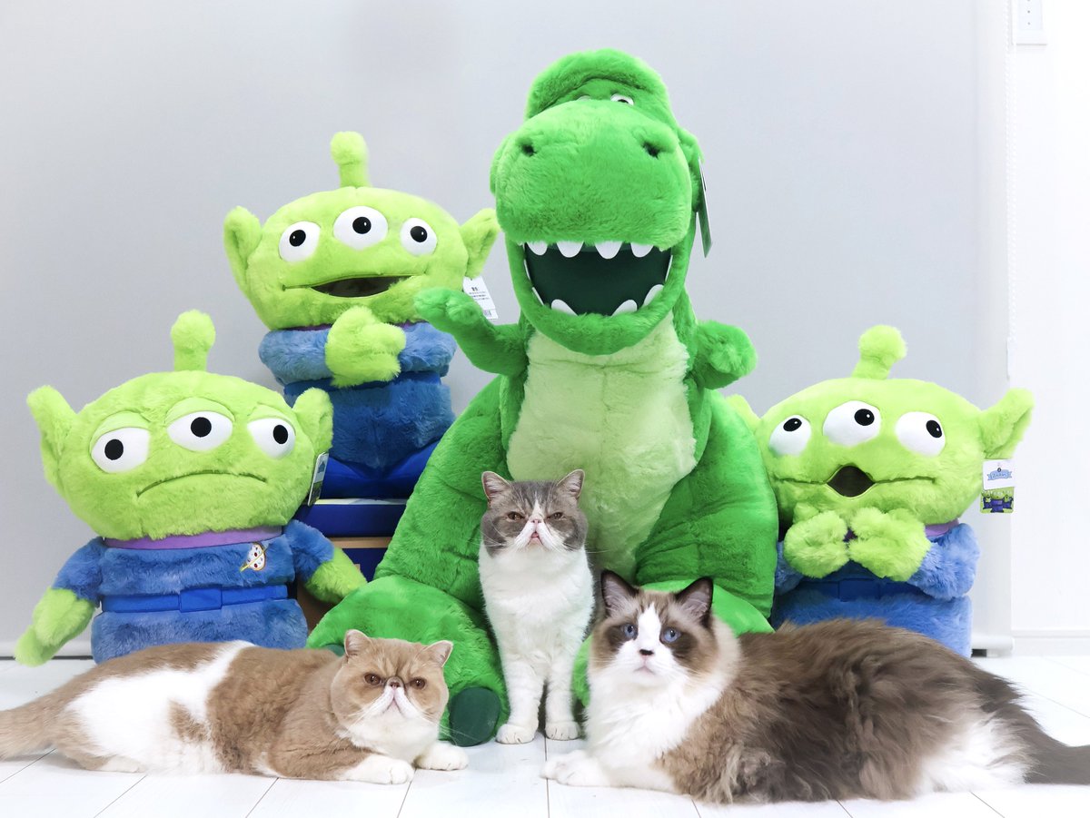 Poseidon_exotic's tweet photo. 大きな大きなお友達たち🦖

 #エキゾチックショートヘア  #トイストーリー  #猫 https://t.co/PqWnz5BI9K