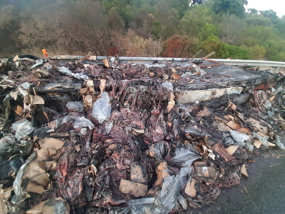 jesusvigorra's tweet photo. 26 días lleva ya este camión, ardió el 20 de agosto, con 25 toneladas de pulpo, y quedó varado en el km 61 de la Autovía Jerez Los Barrios, si nadie que lo retire ni vea el peligro ni elimine la insalubridad y el pestazo que ha provocado ¿hasta cuando tenemos que soportar esto? https://t.co/2HxiNnFtUy