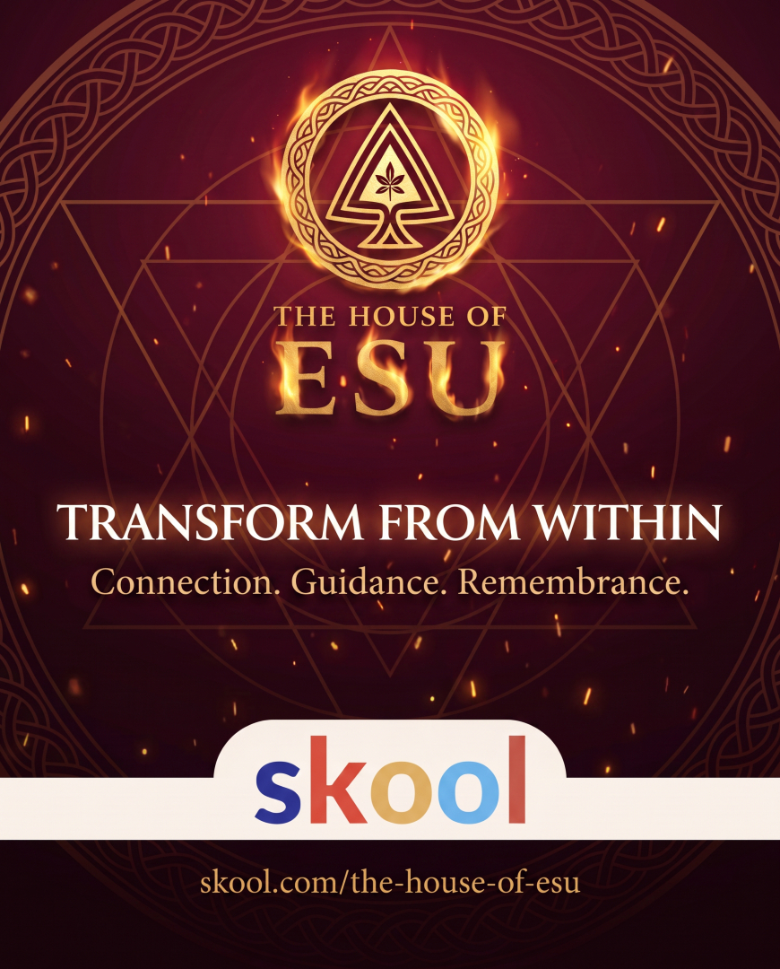 remembrance_org's tweet photo. Real transformation does not arrive from the outside. It rises from within, like a flame that was never truly extinguished. This is the space where you tend that fire.

Connection. Guidance. Remembrance.

Join us: https://t.co/y76fbXAJPS https://t.co/ZJ8csEpYU1