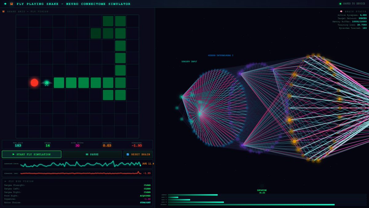 obaiddev's tweet photo. Taught a simulated fly brain to play The Snake Game using dopamine-based reinforcement learning.
The fly is self-learning - it learn over-time on its own mistakes and try to score higher every time based on rewards system.
Give it a FLY.
https://t.co/YUjEahv1qo
#flybrain https://t.co/c1c6olUBXs