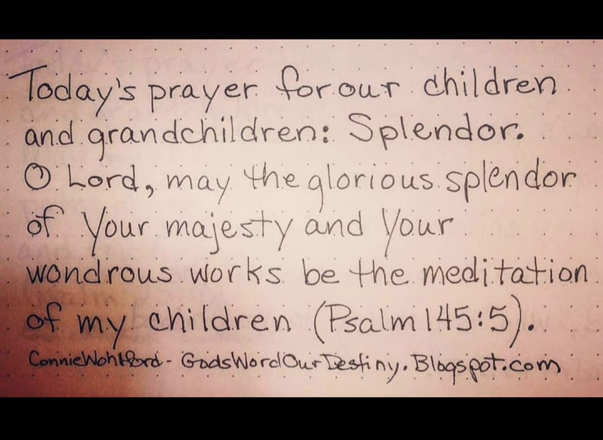 wohlford_connie's tweet photo. Today for our #children and #grandchildren: splendor. 

#splendor #meditation #GodsWordOurDestiny https://t.co/2kvlon70UO