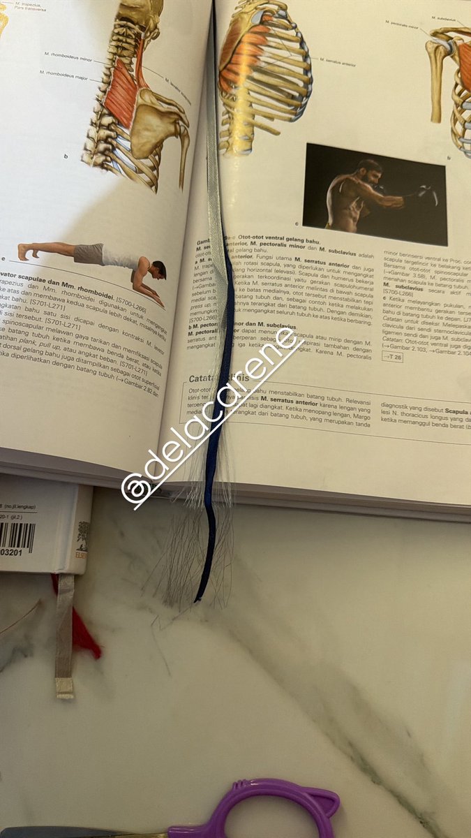 delacarene's tweet photo. 📚GUYS, WTS SOBOTTA ED. 25 &amp; L.MOORE
✅fullset (buku)
✅Original gramedia
✅kondisi 100% mulus bukunya (minus bagian pembatas buku)
✅harga bisa negoo (dm ajaa)
#sobotta
#FK 
#kedokteran 
#zonauangㅤ https://t.co/73aqqJ66W6