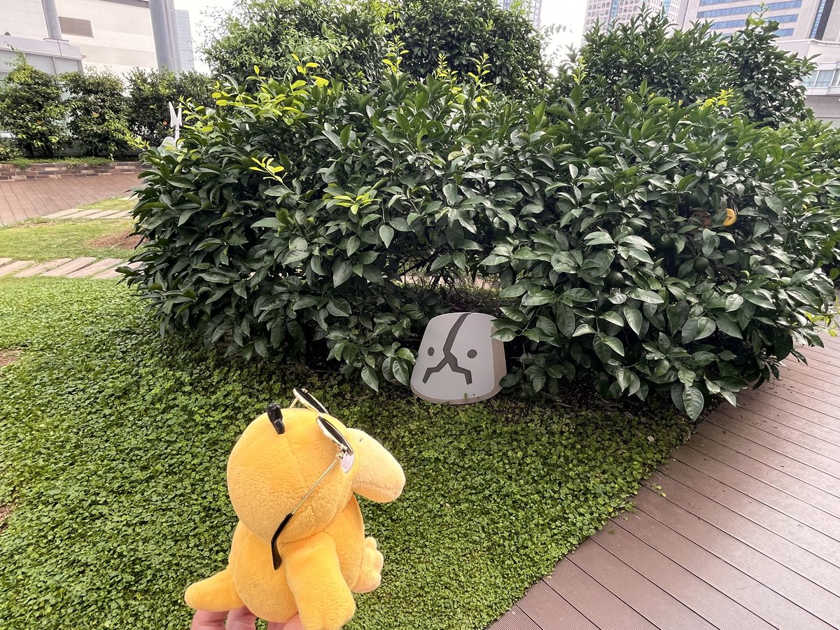 mattarinuito's tweet photo. おお！こんなところでもお昼寝してる子たちが！
#ポケモンfit #ぬい撮り #ぬい活 #ポケモンのいる生活 https://t.co/Ang8LRerFB