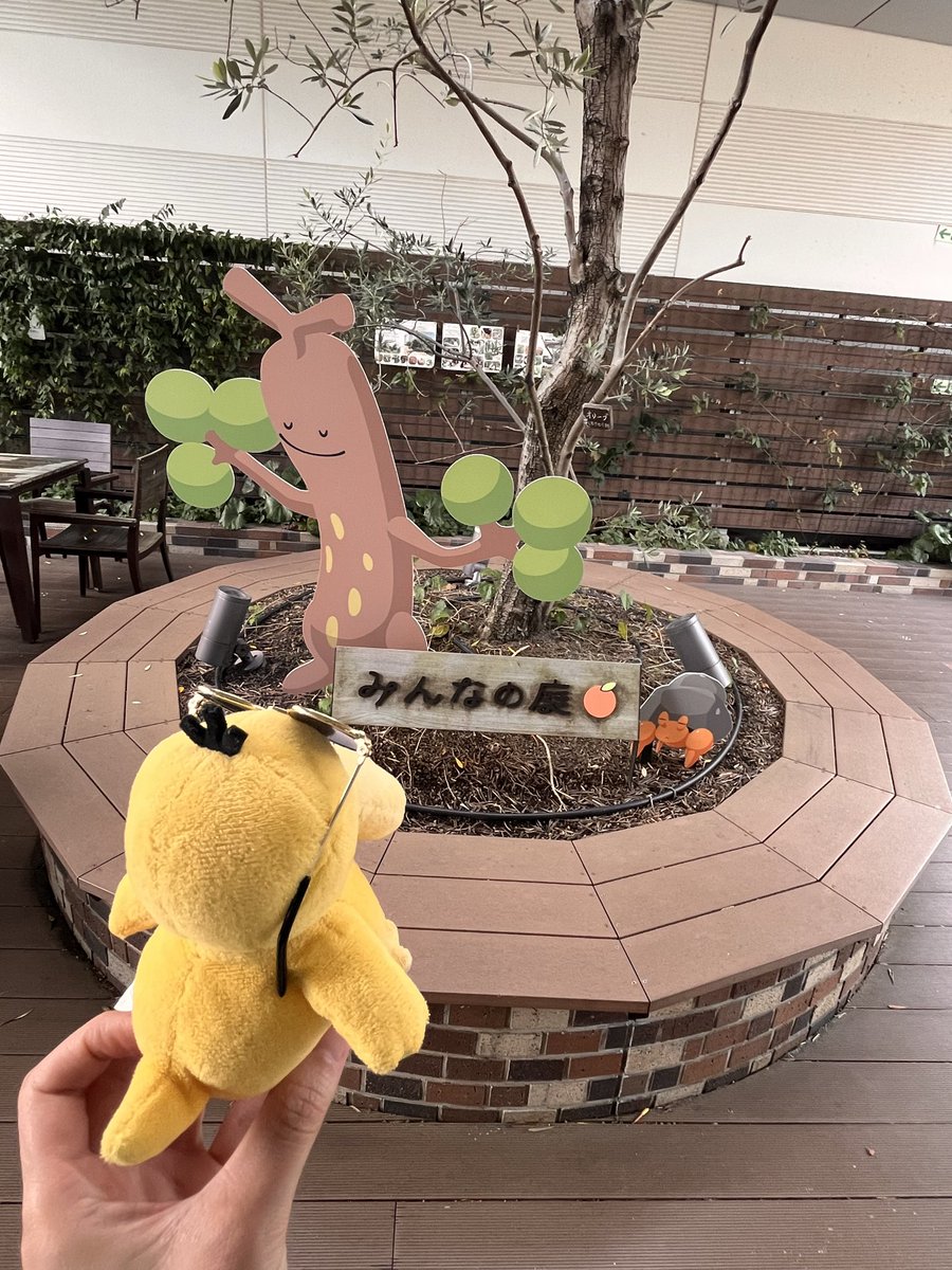 mattarinuito's tweet photo. おお！こんなところでもお昼寝してる子たちが！
#ポケモンfit #ぬい撮り #ぬい活 #ポケモンのいる生活 https://t.co/Ang8LRerFB