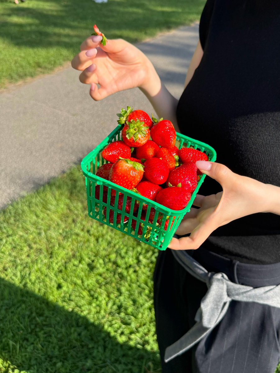 karinaraespa's tweet photo. #Fruitposting https://t.co/j6IYQORYzn
