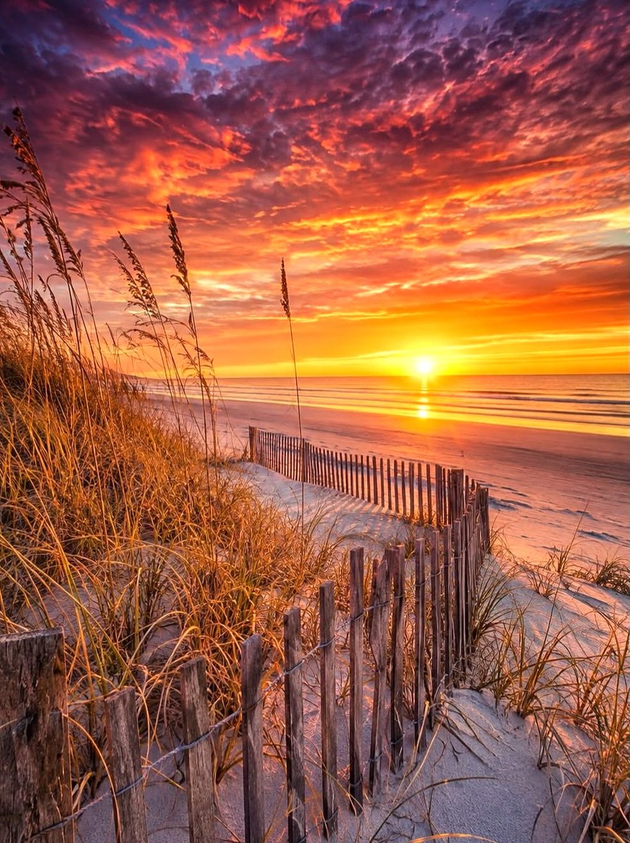 sam_autmn's tweet photo. #Amazing #beautiful https://t.co/VjLfQsiGY0