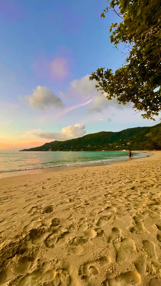 KellyTerry54's tweet photo. Constance Lemuria is the definition of tropical luxury 🌴📷<✨ #Seychelles https://t.co/sacSMb49oT