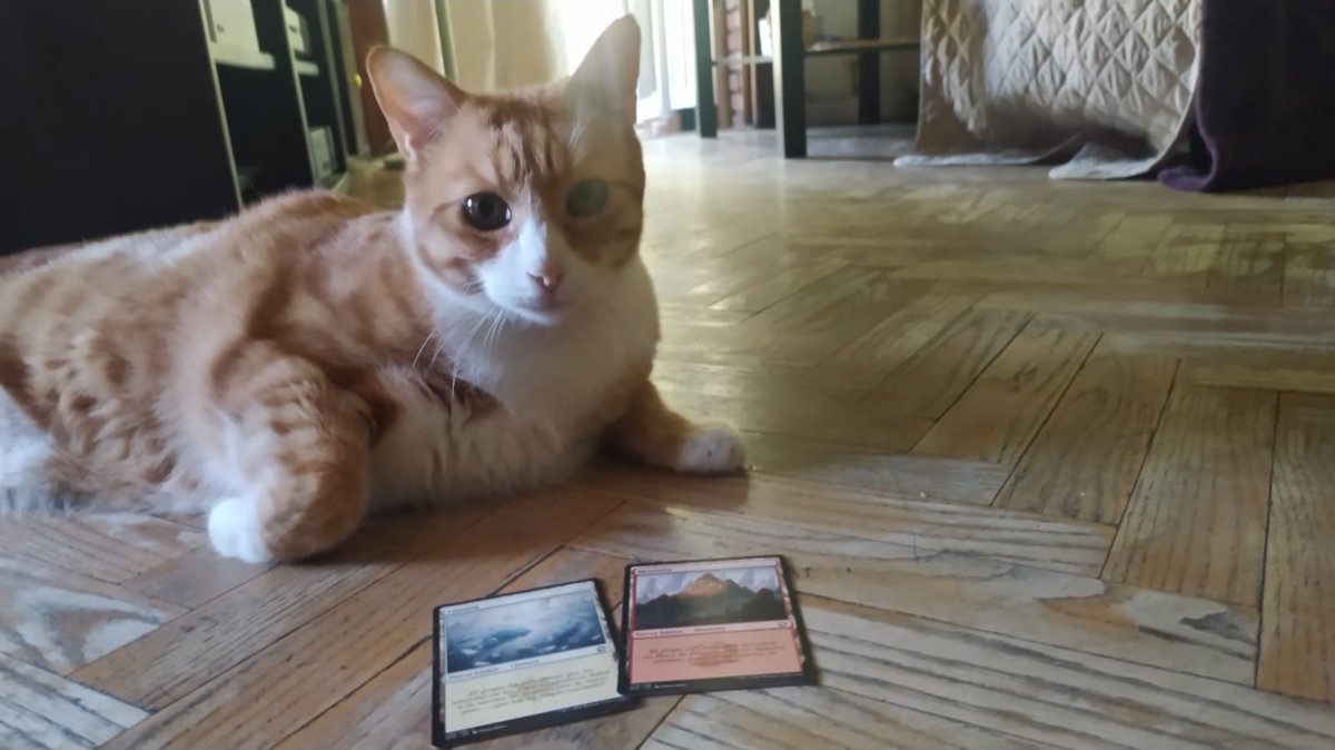 boardgg_mtg's tweet photo. Donete, as you can see, is Boros. What is your favorite combination?

https://t.co/AbL0k7XCIk

#MTG #Boros #BoardGG #MagicCommunity https://t.co/KMSB1DfKpf
