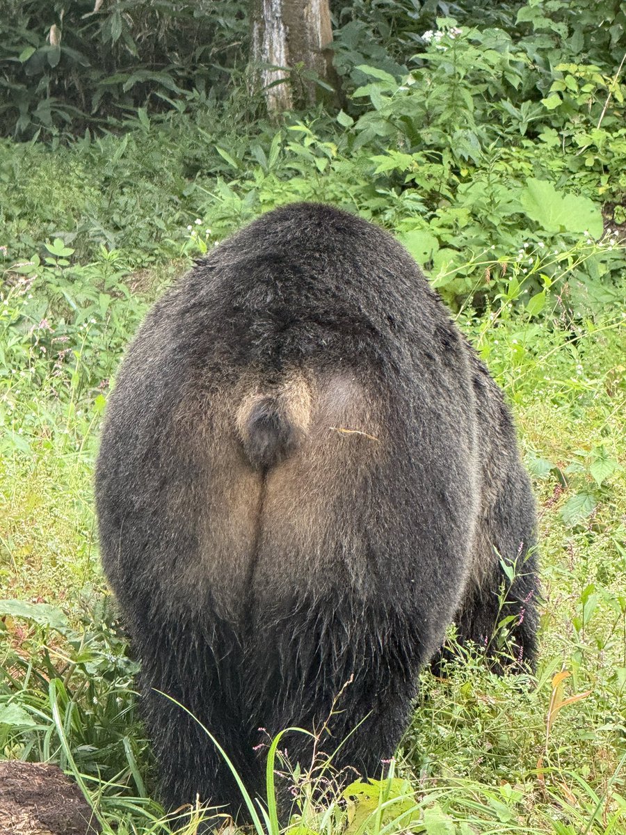 サムネイル画像2