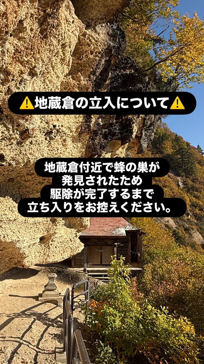 ohkura_mura's tweet photo. 【地蔵倉の立入について】
地蔵倉付近で、蜂の巣が発見されたため、駆除が完了するまで立ち入りをお控えください。作業が完了次第、お知らせいたします。 #大蔵村 https://t.co/NNx30yvEPA