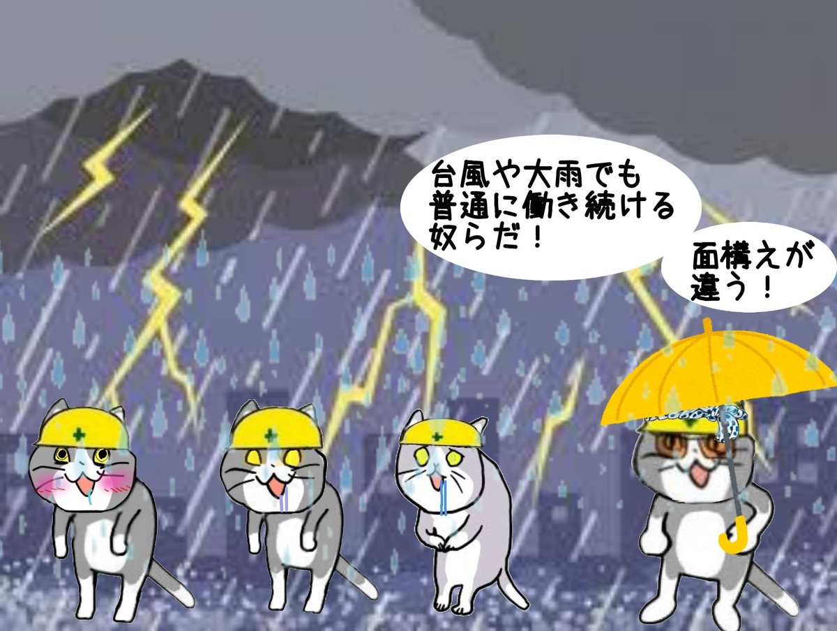 yoyo_knack's tweet photo. 今週も雨日が多そうですね。
・・・・ご安全に！

木曜日はやめてくれ！！！ https://t.co/LXZ8r8vdcM