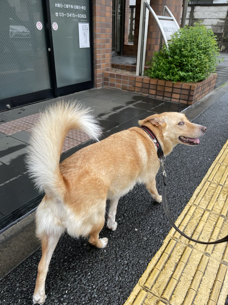 kriss_S's tweet photo. これを貼る流れか？ https://t.co/PBUCEmvi0y