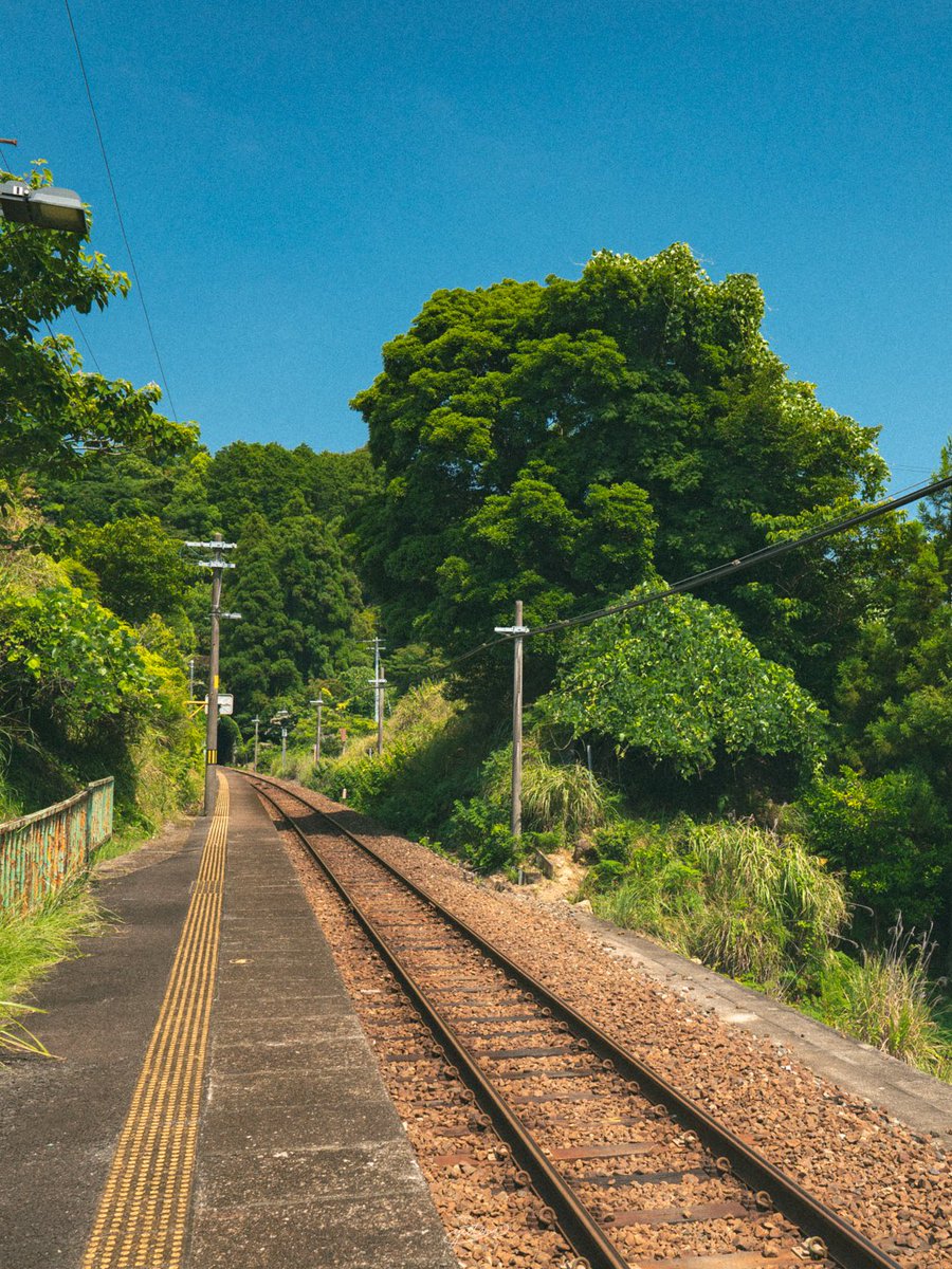 YutoPhotography's tweet photo. ジブリアニメの世界やんって思えるようなところが、三重県にはあります。 https://t.co/CClqeQfjC2