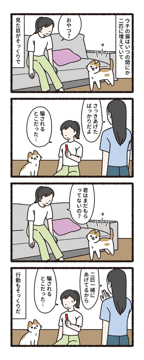 pandania0's tweet photo. 飼い猫と飼い猫のそっくりさん（3/3） https://t.co/eNnWiRhrH5