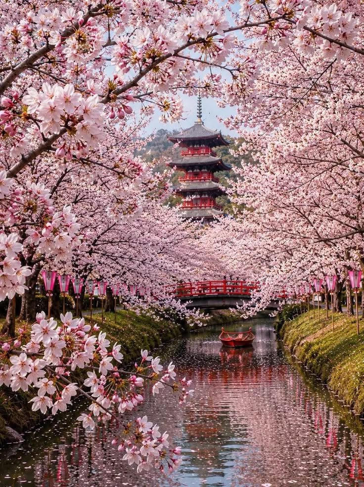 Amazing_Views7's tweet photo. Tokyo Japan 🇯🇵 https://t.co/FXZOCGRNi7