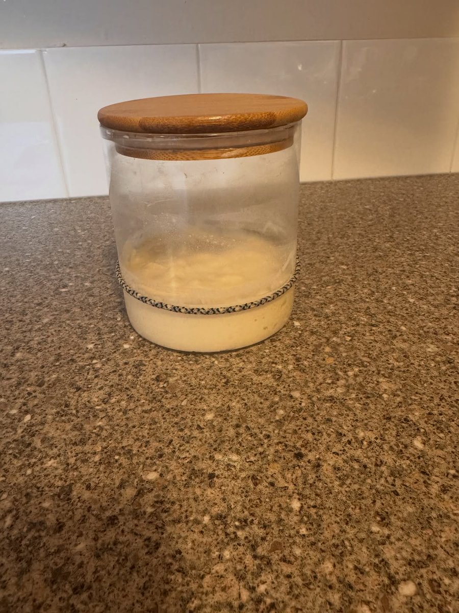 DustyRosich's tweet photo. Lebem 2. 0 exploded this morning, so I turned him into sourdough loaves, cleaned him up, and fed him. Cinnamon buns are rolled and rising! https://t.co/imoGHCzZrp
