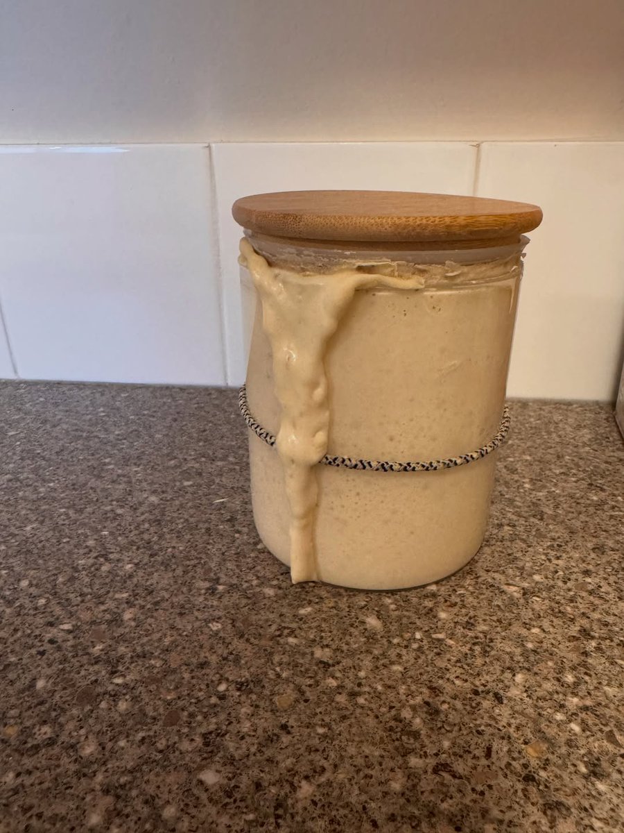 DustyRosich's tweet photo. Lebem 2. 0 exploded this morning, so I turned him into sourdough loaves, cleaned him up, and fed him. Cinnamon buns are rolled and rising! https://t.co/imoGHCzZrp
