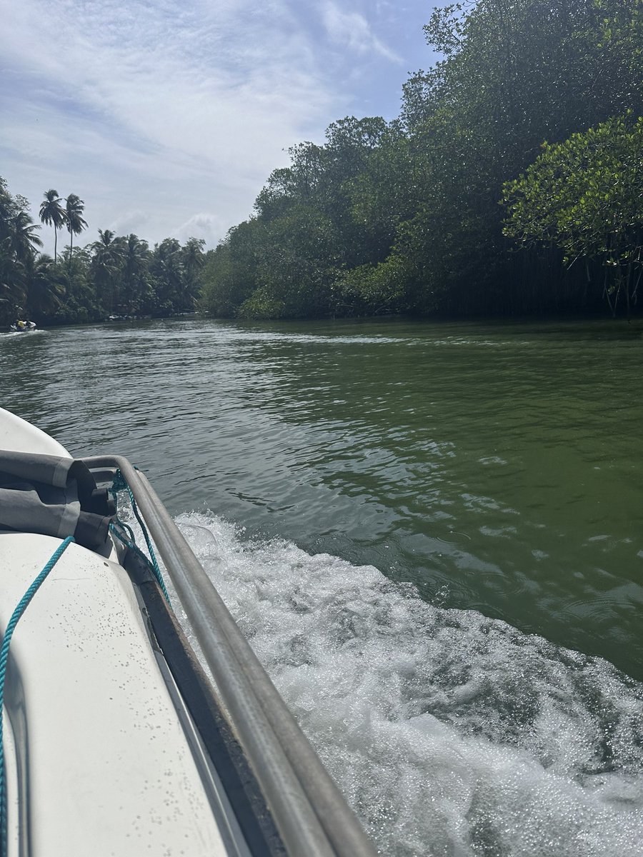 Deku626's tweet photo. Some of my pictures are from my trip from Sri Lanka https://t.co/STSy7RZsuz