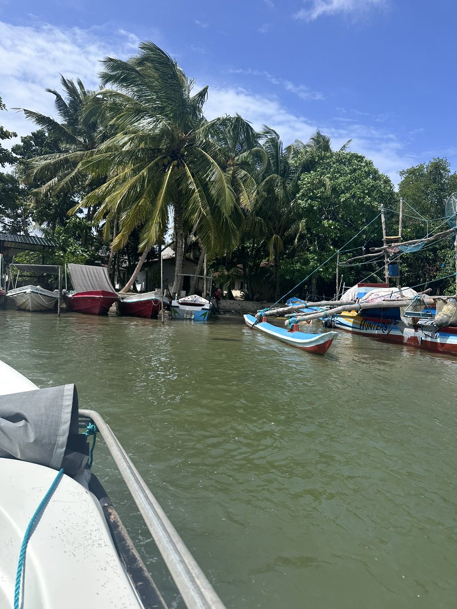 Deku626's tweet photo. Some of my pictures are from my trip from Sri Lanka https://t.co/STSy7RZsuz