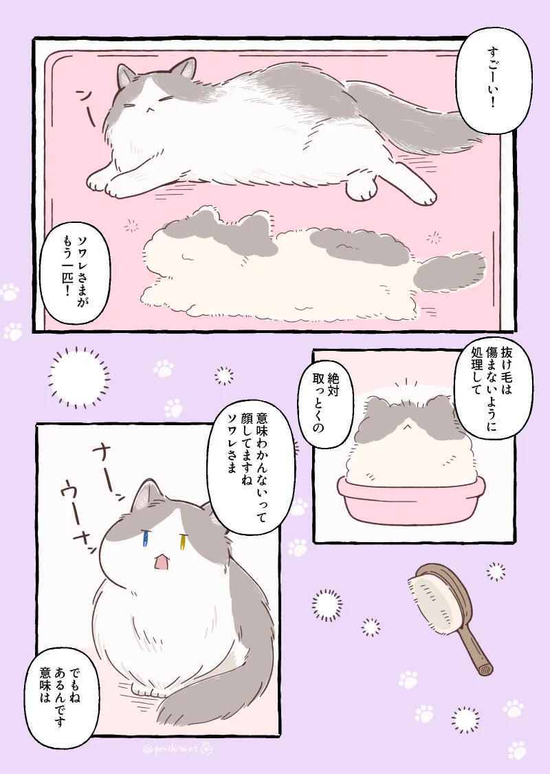 しらほし卯乃@2巻5月20日発売🌻🐹 on X: 