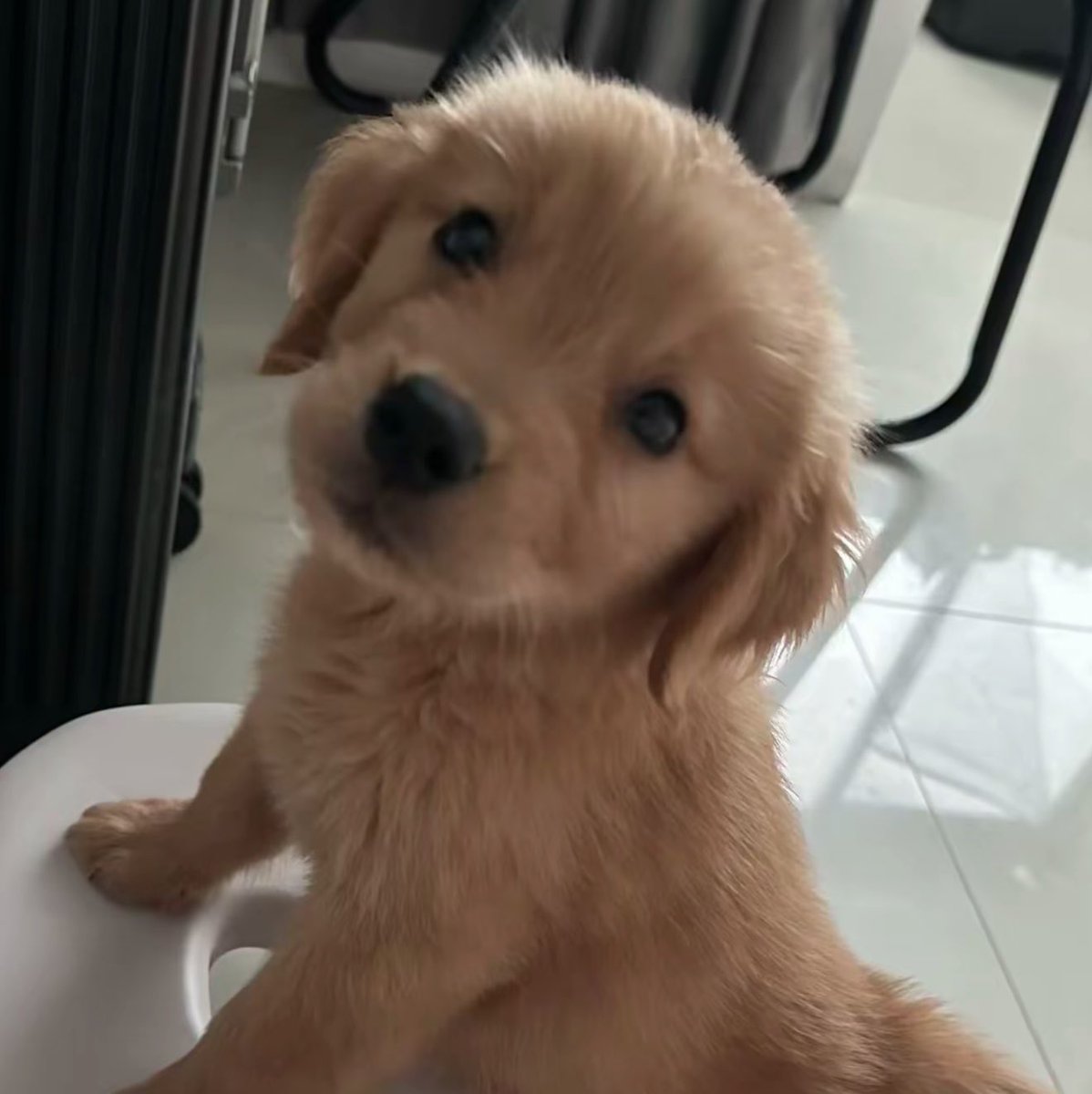 takemybear's tweet photo. ขอโทด! 😡                                         ค่ะ หายไปไหน https://t.co/9A9flRSWou