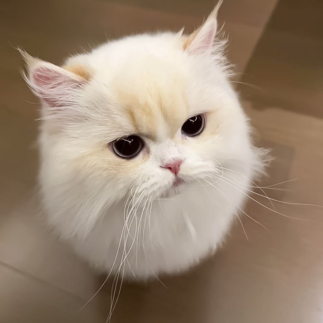 takemybear's tweet photo. ขอโทด! 😡                                         ค่ะ หายไปไหน https://t.co/9A9flRSWou