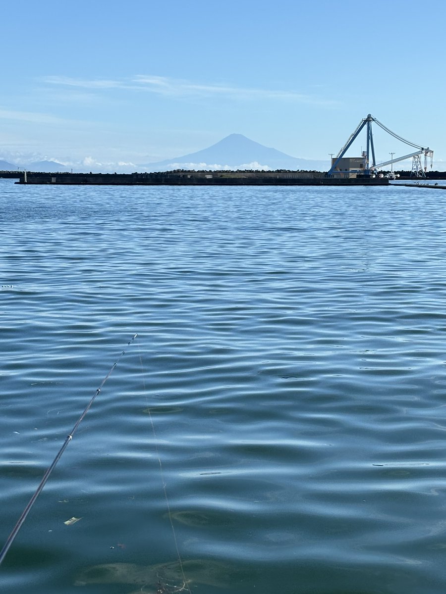 800land's tweet photo. きょうは御前崎港で釣り 、富士山が良く見えたｗ
チンタ5匹とヘダイ1匹 https://t.co/wXP9z09Zvl