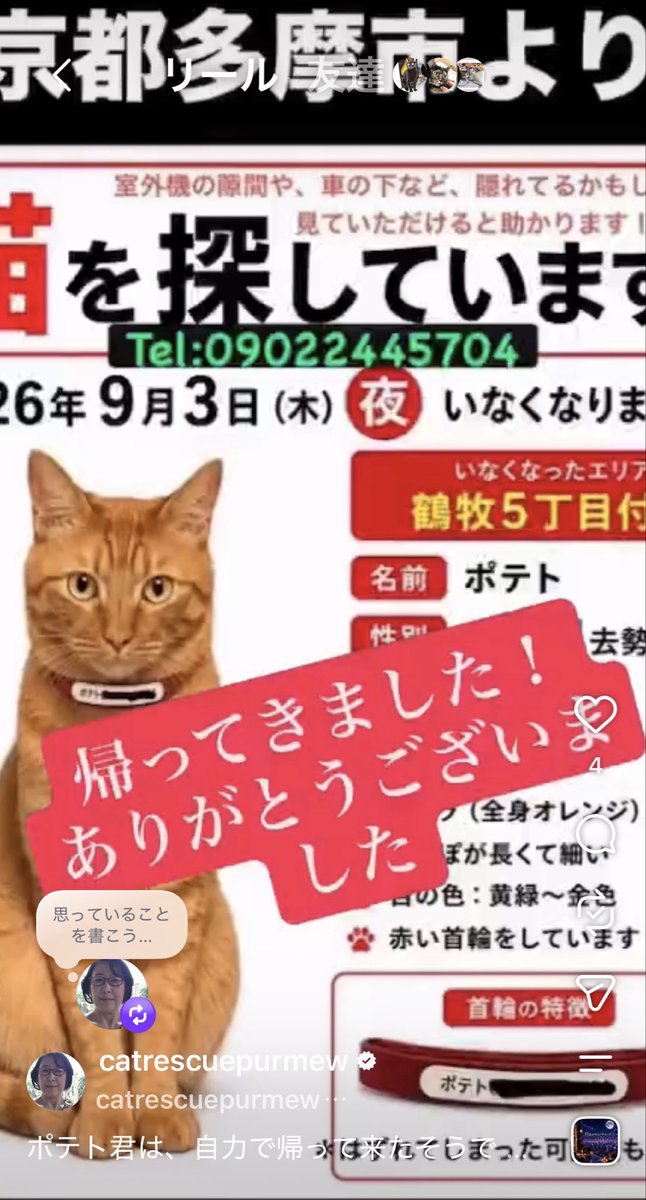 purmeow5's tweet photo. 飼い主様より迷子猫さんの拡散の依頼です。
本日、迷子のポテトちゃん、
無事お家に帰って来ました。
沢山の拡散頂きありがとうございました😊 https://t.co/TqCqV3DtZn