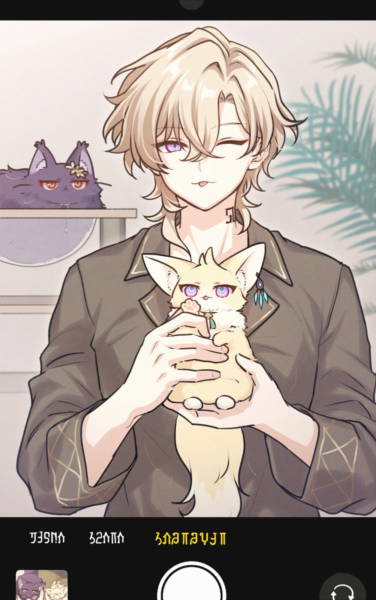 221galahad's tweet photo. ねこだらけ　レイチュリ家 https://t.co/kE5vtHMObT