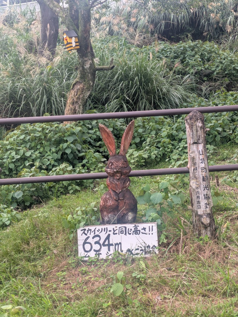 tasogaredensya's tweet photo. 地獄の入り口から頂上まで
#speedfalco #pixel10a https://t.co/IgPiHL4kiw