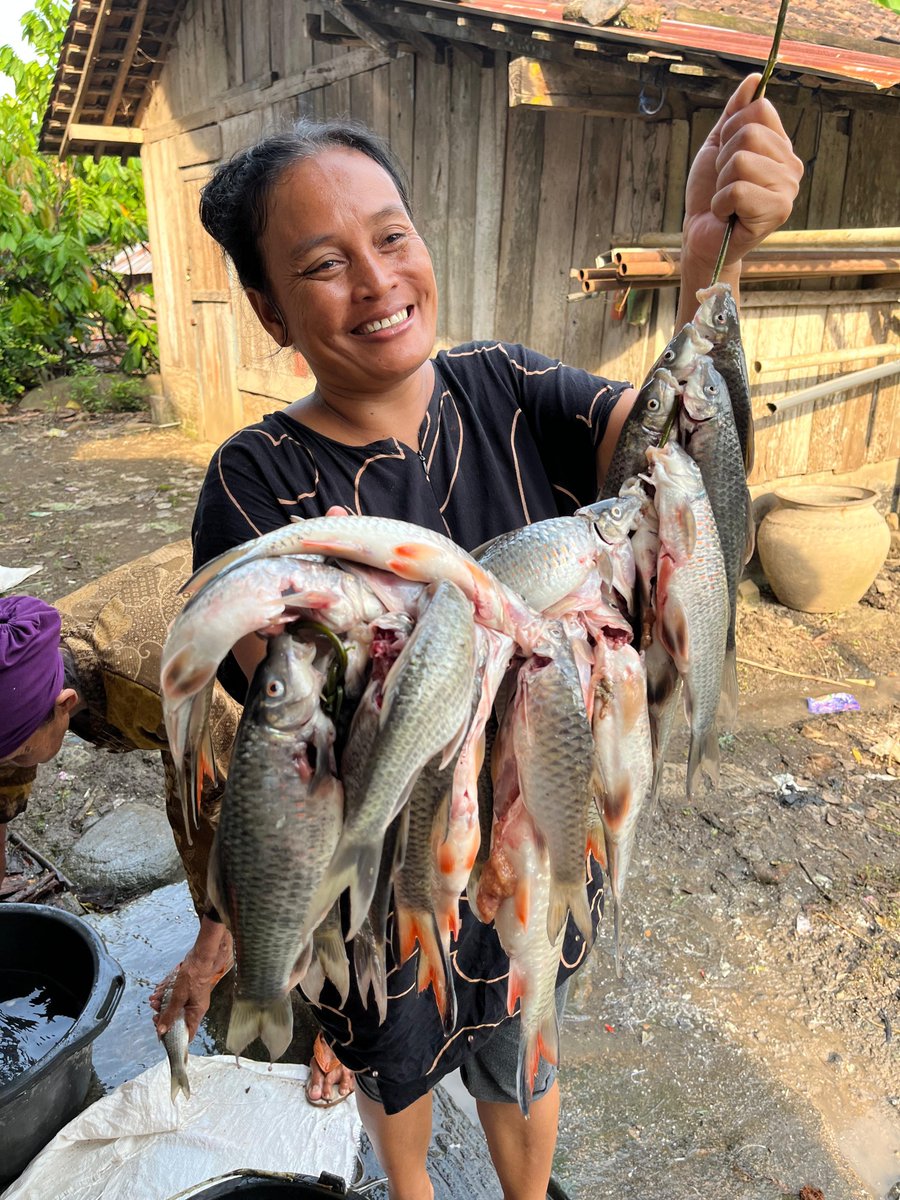 abizars_'s tweet photo. Hasil tangkapan ikan hampala (Hampala macrolepidota) di suatu hulu sungai dekat Temanggung.

Ketika lingkungan lestari, alam akan menyediakan beragam sumber pangan bergizi yang murah—jika tidak bisa disebut gratis. https://t.co/TUBo6iDOI9