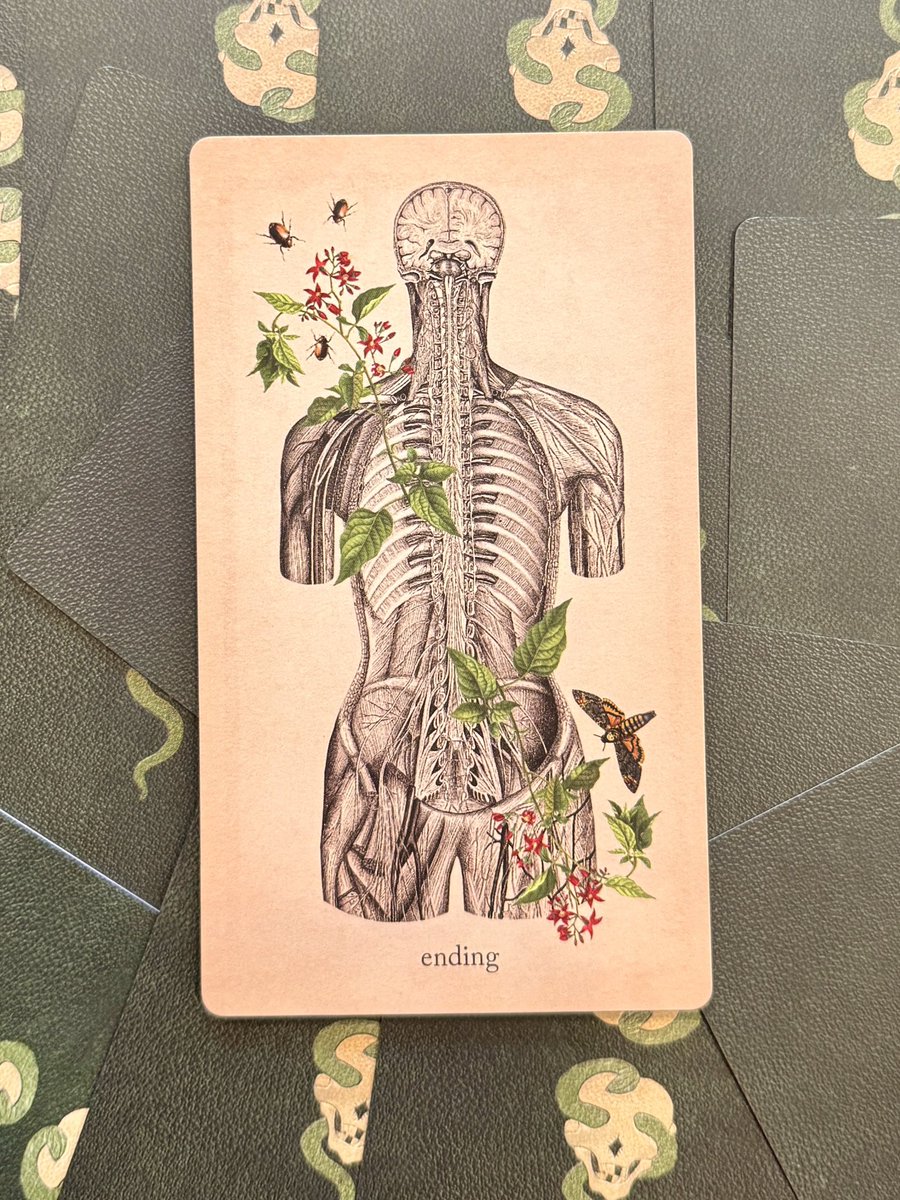 tmanntarot's tweet photo. Card of the day
Ending
Deck: Oracle of Oddities
By: Claire Goodchild
#cardoftheday #Oracle #oraclecards #Lenormand https://t.co/CD2hFAD4Vm