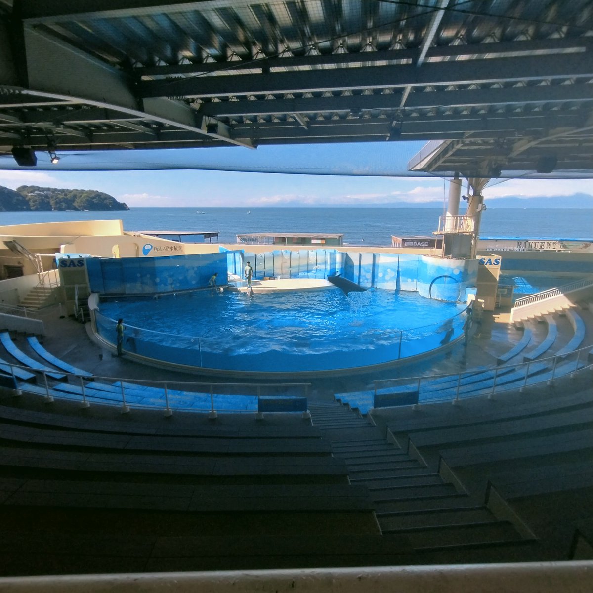 kobebryant232's tweet photo. #新江ノ島水族館
#えのすい
2026年9月14日 https://t.co/F1GsbCpsp7