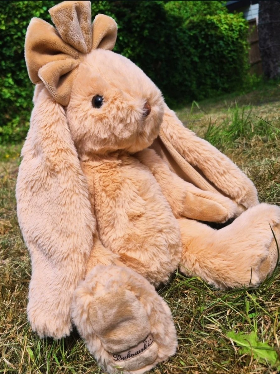 W_Hayates's tweet photo. Meet sweet Cornelia Rabbit by @bukowskibears. https://t.co/OyeQ6t49wP
