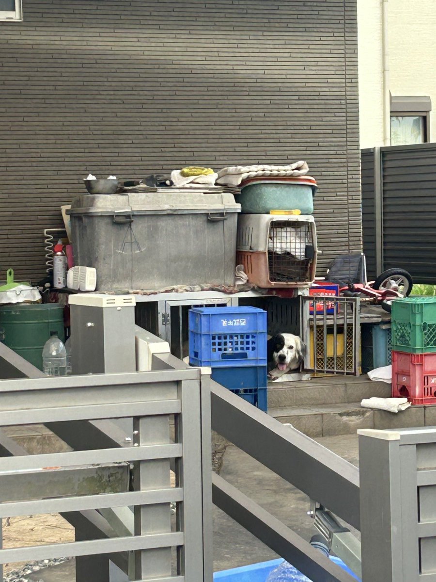 TERU11935895's tweet photo. 虐待されている可能性は強い。
水もろくに与えず。鳴らしたが家から誰も出てこなかった。居留守の可能性もある。また行くけどね。
残り２匹のわんちゃんは見当たらなかったから散歩なのかわからないけど。犬を道具として扱っている情報も。 https://t.co/J1EH347WWt