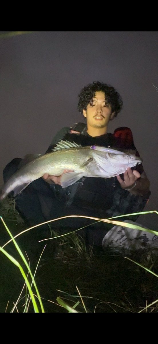 Lillabrax's tweet photo. 詳細はインスタ見てください🔥
GOAT🐐🔥
#マスピマスター
#APIA

https://t.co/jAR00VFAQP https://t.co/8BnKW4q9DG