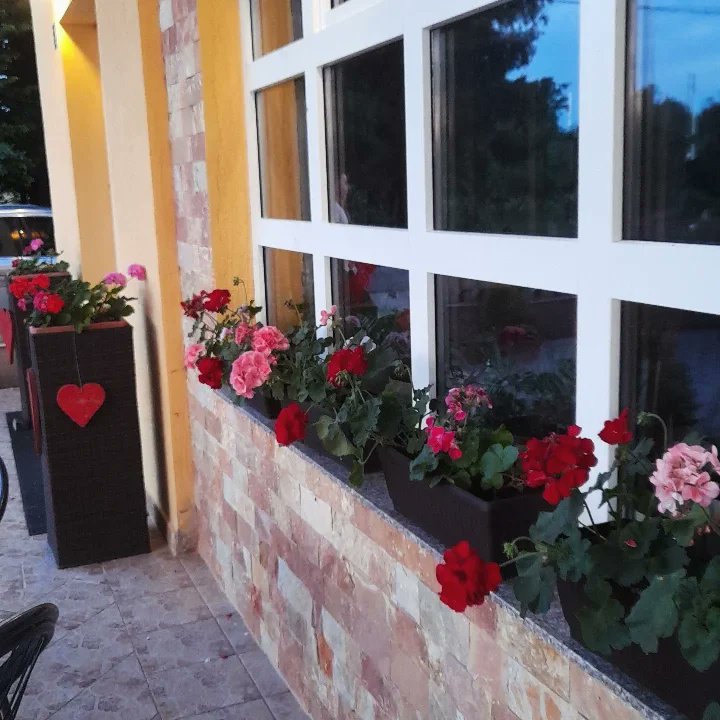 Cassaundrag6's tweet photo. Sunčani dani su tu, a naša bašta spremna za vaše proslave i druženja uz ukusnu hranu, osvježavajuća pića i ugodan ambijent. Rezervacije: 053/350-034 ili 066/433-867. Restoran Stari hrast. https://t.co/rm9NI7tgwp