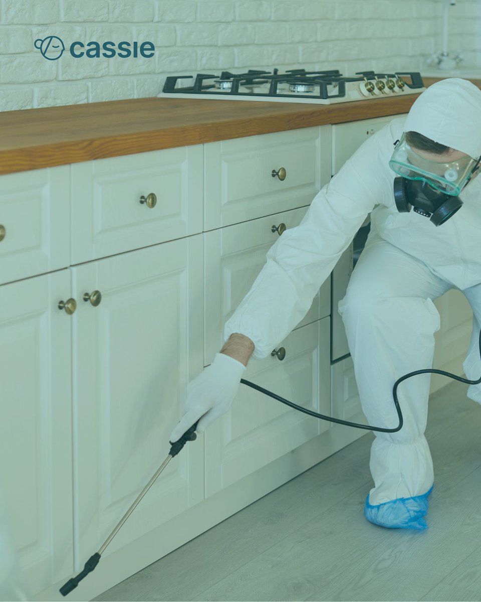 cassiefinance's tweet photo. Pest control tip: your recurring contracts are your safety net — *if* you know when each one renews. 🐜

Recurring service agreements smooth out the seasonal swings, but only when none slip through the cracks. https://t.co/q7roEHWMEJ